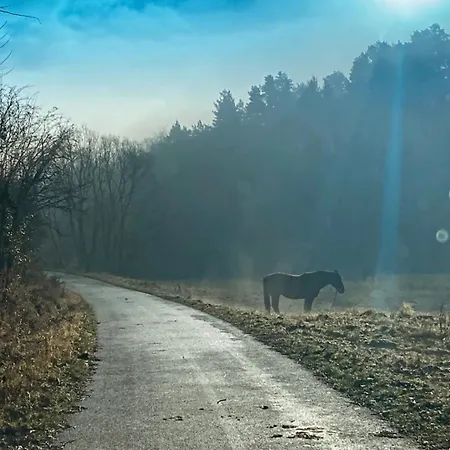 Luxusní stan Treehouse Vtáčikovo *
