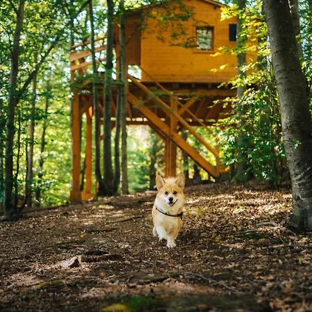 Treehouse Vtacikovo Tente de luxe