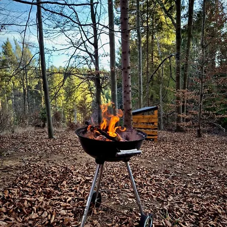 Treehouse Vtacikovo *